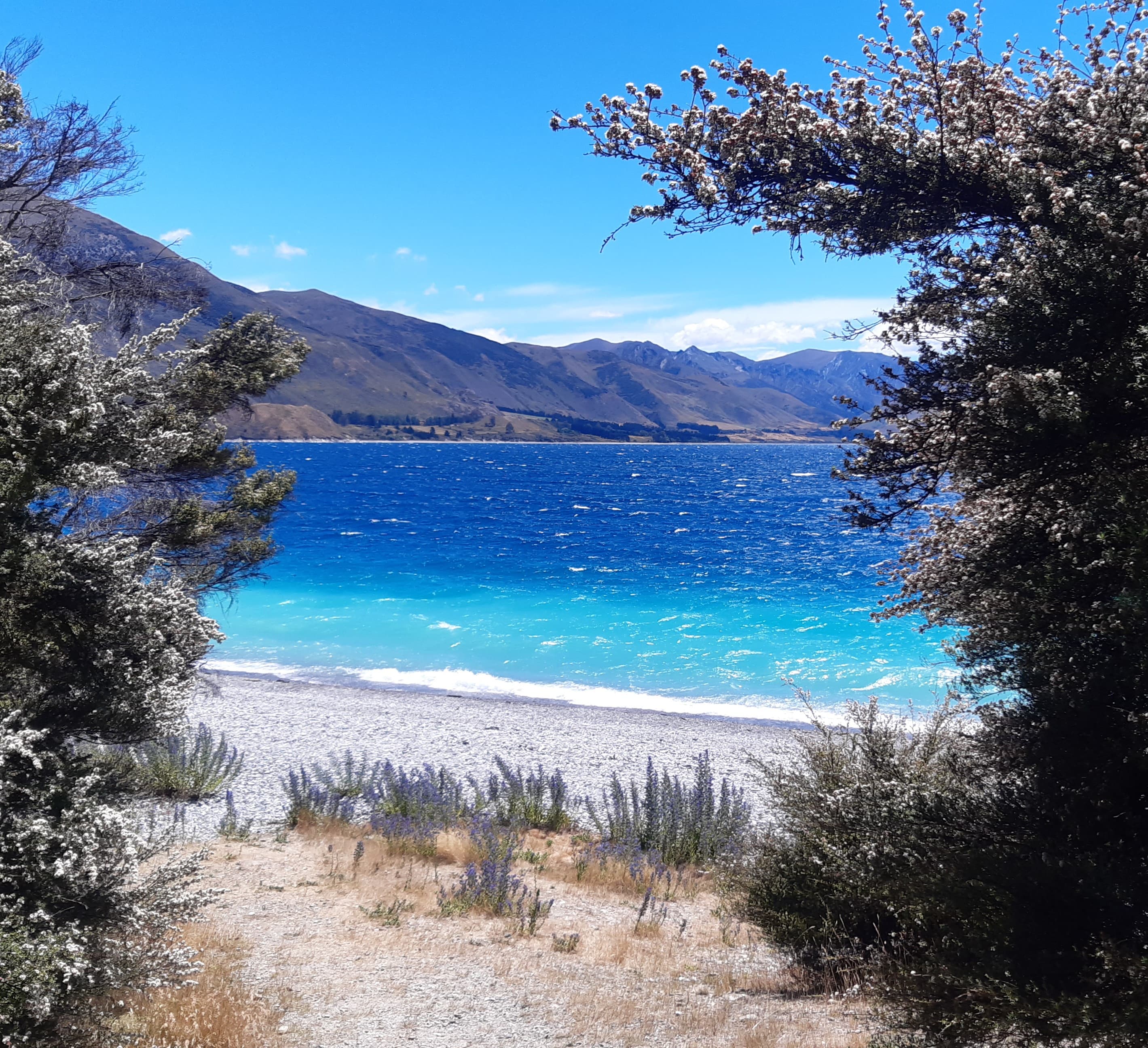 Turquoise lake framed by native bush in Central Otago