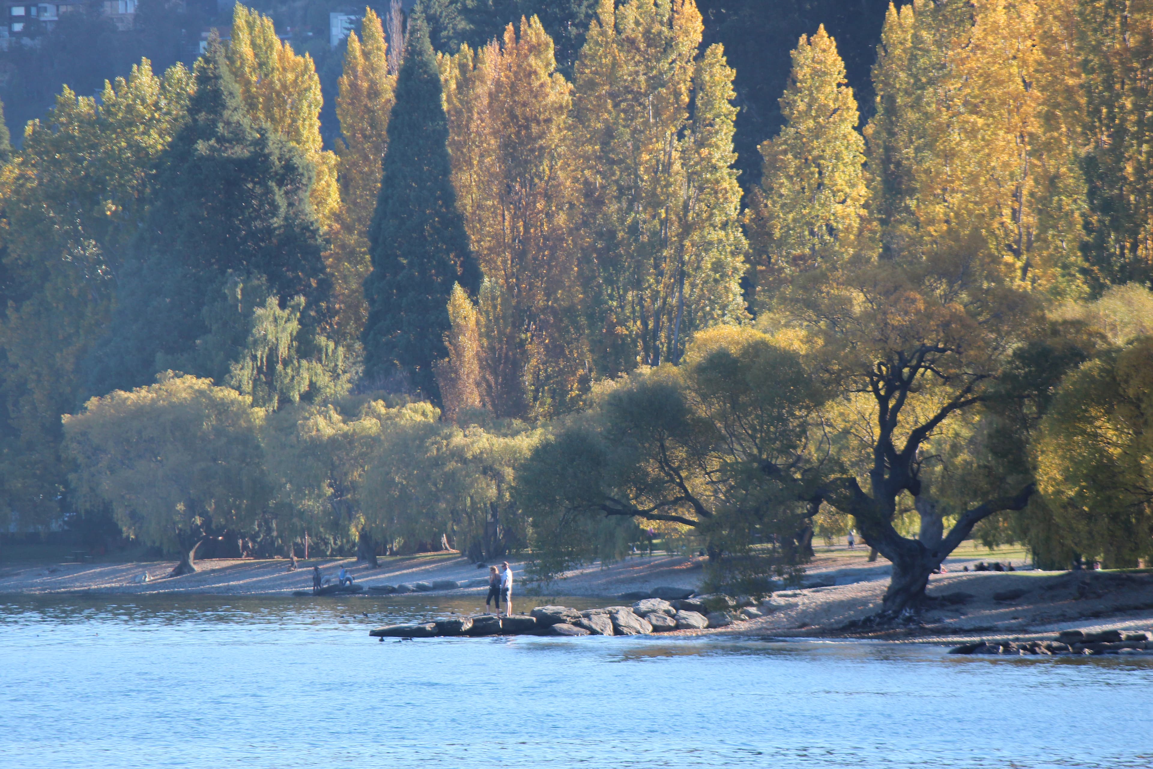 Autumn trees beside a Central Otago lake